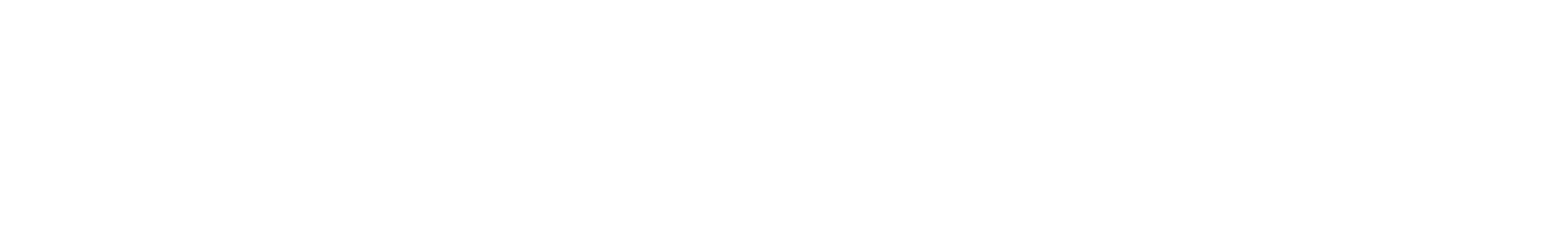 Mobilitas Insurance 